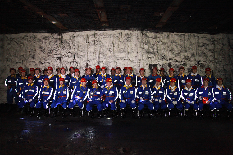 創(chuàng)新聯(lián)盟專家團(tuán)隊(duì)在陜煤（右起左四為何滿潮院士、宋振騏院士、張鐵崗院士、煤炭工業(yè)協(xié)會(huì)副理事長(zhǎng)劉峰